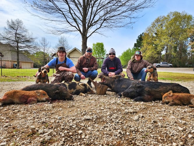 Thermal Hog Hunt Thrills In Lindale