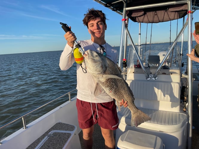 Bull Red And Shark Fishing 5 Hours In Galveston