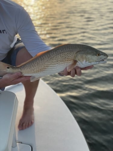 Fly Fishing East & West Matagorda In Matagorda