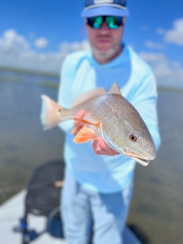 Fly Fishing East & West Matagorda In Matagorda