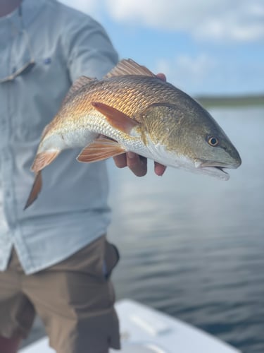 Fly Fishing East & West Matagorda In Matagorda