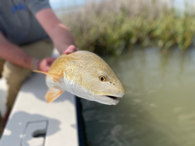 Fly Fishing East & West Matagorda In Matagorda