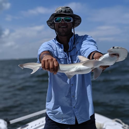 Tampa Bay Sharkfest - 25’ Sportsman In Ruskin