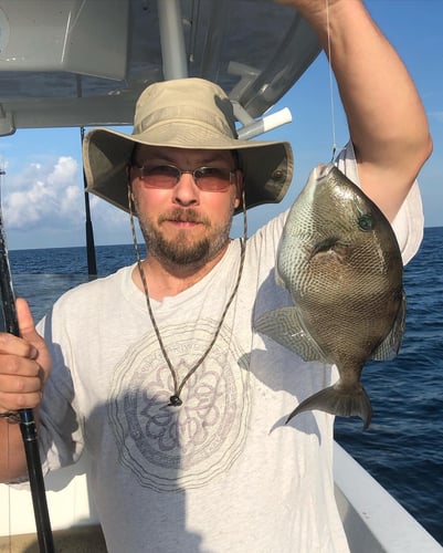 PCB Bottomfishing Trip in Panama City Beach