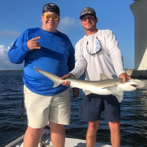 Half Day Shark Roundup In Panama City