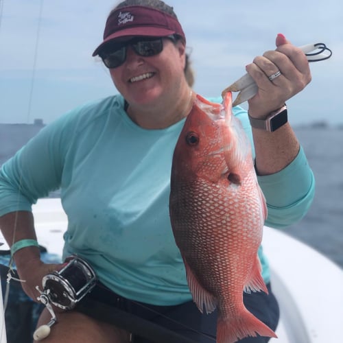 PCB Bottomfishing Trip In Panama City