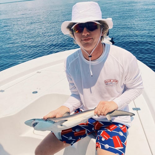 4-Hour Shark Roundup in Panama City Beach