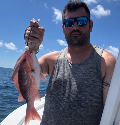 PCB Bottomfishing Trip in Panama City Beach