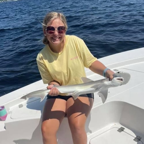 4-Hour Shark Roundup in Panama City Beach