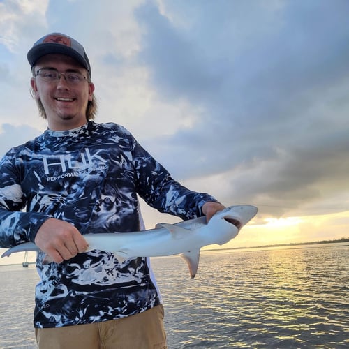 4-Hour Shark Roundup in Panama City Beach