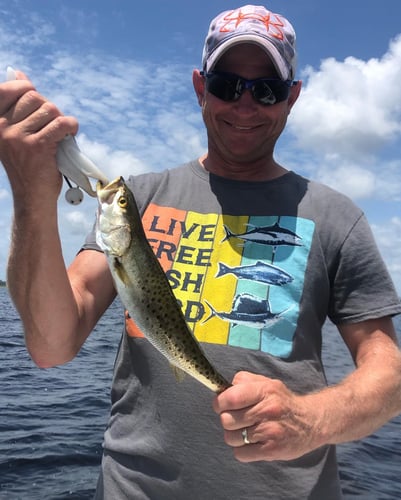 Inshore PCB Trip - 23' Sportsman in Panama City Beach