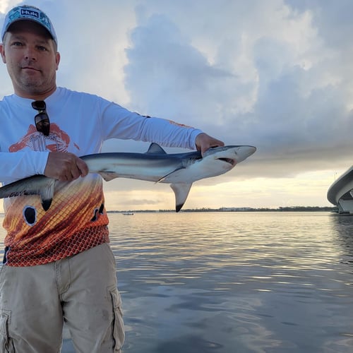 Half Day Shark Roundup In Panama City