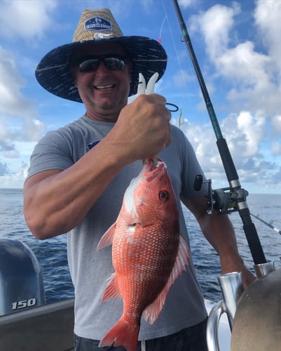 PCB Bottomfishing Trip in Panama City Beach