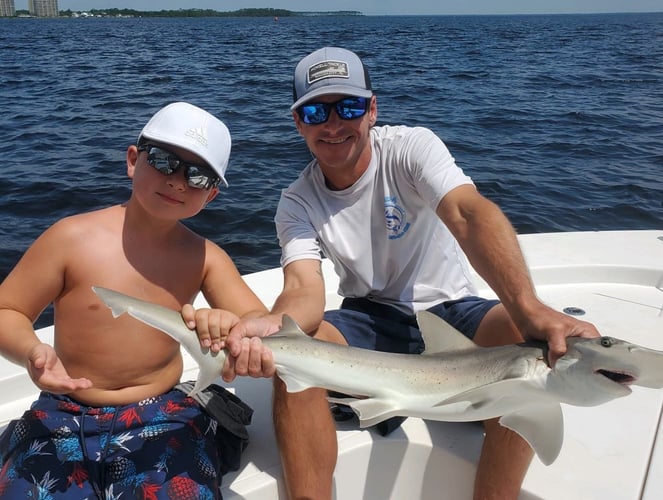 4-Hour Shark Roundup in Panama City Beach