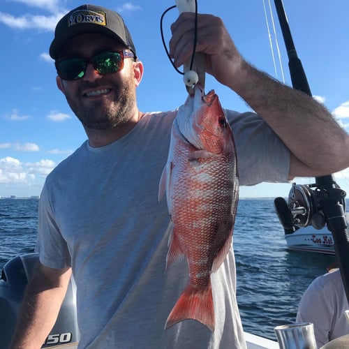 PCB Bottomfishing Trip in Panama City Beach