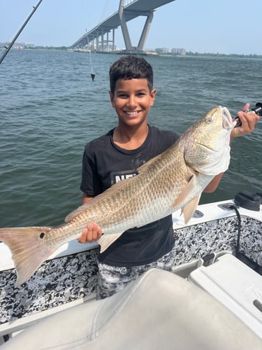 4 HR Inshore/Harbor/Reef Fishing In Charleston