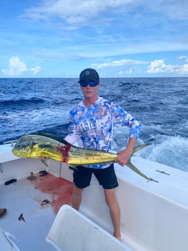 4 HR Inshore/Harbor/Jetties Fishing In Charleston