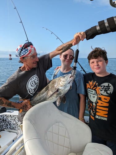 4 HR Inshore/Harbor/Reef Fishing In Charleston