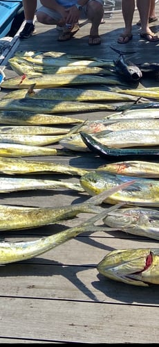 Deep Sea Fishing In Charleston