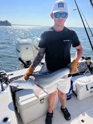 4 HR Inshore/Harbor/Reef Fishing In Charleston