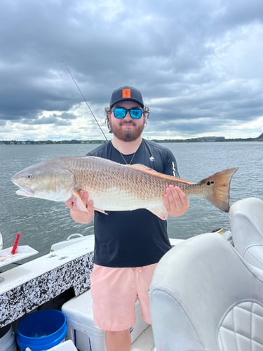 Deep Sea Fishing In Charleston