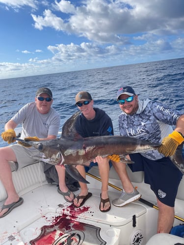 Deep Sea Fishing In Charleston