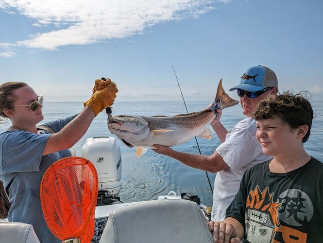 4 HR Inshore/Harbor/Reef Fishing In Charleston