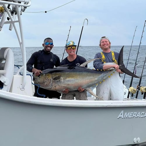 Dauphin Island Offshore Expedition