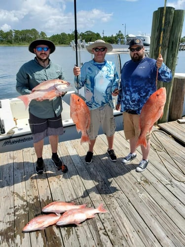 Dauphin Island Offshore Expedition In Dauphin Island