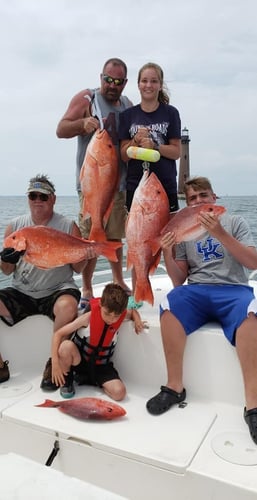 Half Day Red Snapper Slapper In Dauphin Island