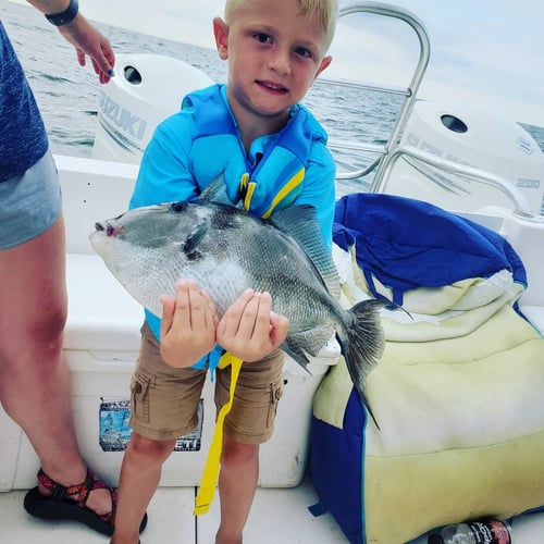 Deep Sea Fishing 6-People In Dauphin Island