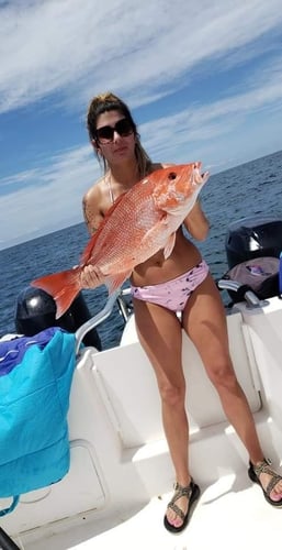 Half Day Red Snapper Slapper In Dauphin Island