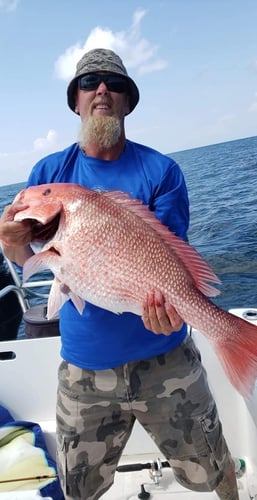 Half Day Red Snapper Slapper In Dauphin Island