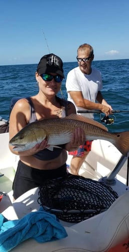 Deep Sea Fishing 6-People In Dauphin Island