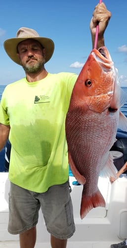 Half Day Red Snapper Slapper In Dauphin Island