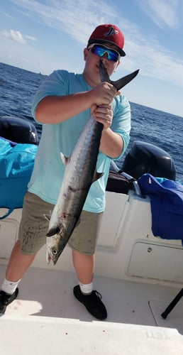 Deep Sea Fishing 6-People In Dauphin Island