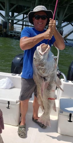 Deep Sea Fishing 6-People In Dauphin Island