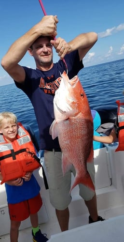 Half Day Red Snapper Slapper In Dauphin Island