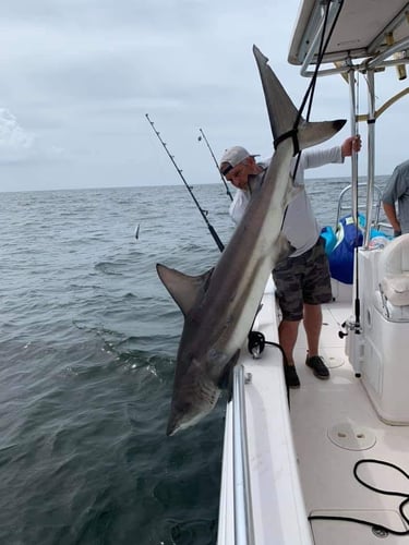 Deep Sea Fishing 6-People In Dauphin Island