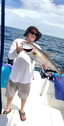 Half Day Red Snapper Slapper In Dauphin Island