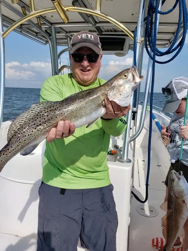 Deep Sea Fishing 6-People In Dauphin Island