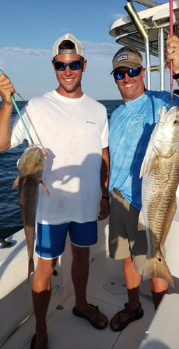 Deep Sea Fishing 6-People In Dauphin Island