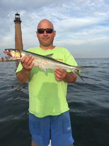 Deep Sea Fishing 6-People In Dauphin Island