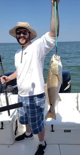 Deep Sea Fishing 6-People In Dauphin Island