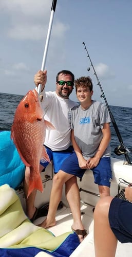 Half Day Red Snapper Slapper In Dauphin Island