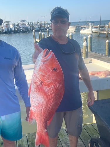 Snapper 6 Hr PM In Gulf Shores