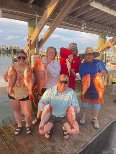 Snapper 6 Hr PM In Gulf Shores