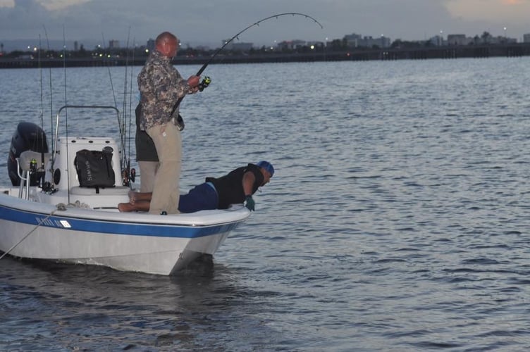 Tarpon & Snook - 22' Quick Bite In Carolina