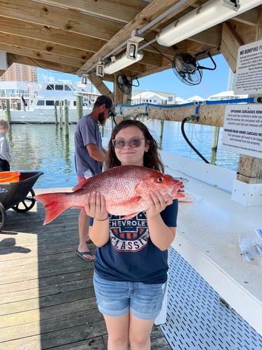 Extreme Chaos In Orange Beach