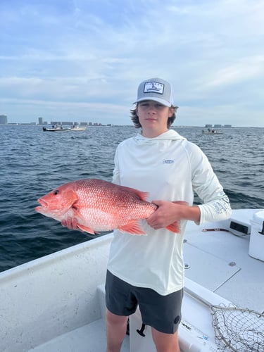 Extreme Chaos In Orange Beach